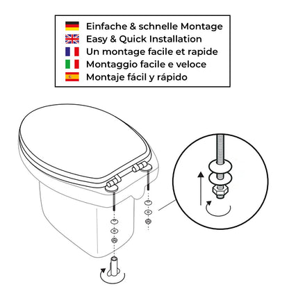 SANFINO WC-Sitz mit Absenkautomatik, MDF-Holzkern, Motiv Rocks
