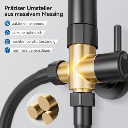 Auralum Regendusche Duschsystem ohne Armatur, Edelstahl Schwarz