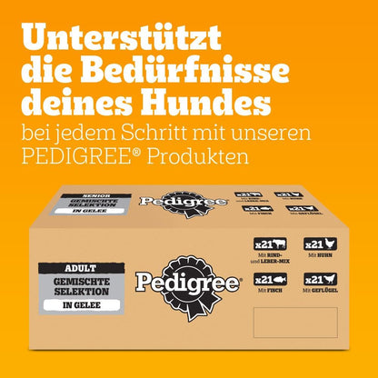 Pedigree Dogcare Hundefutter Chunks in Gelee Adult 84 x 100 g