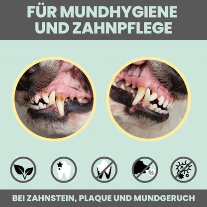 noms+ Dental-Spray für Hunde & Katzen gegen Zahnstein, 100 ml