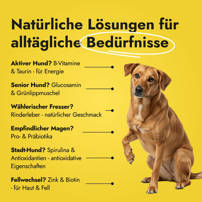 Petstile Canine Booster Grünlippmuschel-Extrakt Hund 150g Pulver