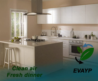 EVAYP Aktivkohlefilter 2er Set für Bosch Siemens Neff Dunstabzug