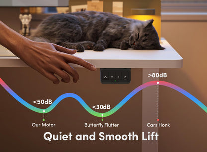 FEZIBO Elektrischer Steh-Sitz-Schreibtisch 120x60 cm Weiss