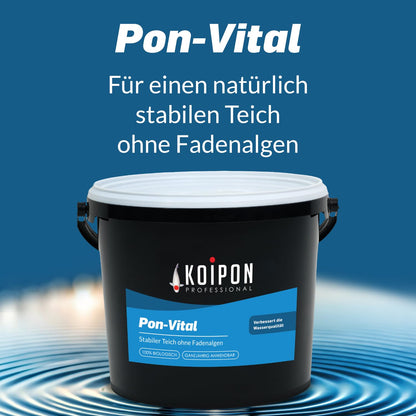 KOIPON Pon-Vital 2,5 kg – biologische Teichpflege gegen Fadenalgen
