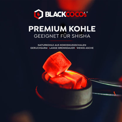 BLACKCOCO's Kokoskohle CUBES26 20 kg - Shisha & Grill