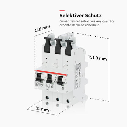 ABB Stotz S&J S751/3-E35 Hauptsicherungsautomat - 1 Stück