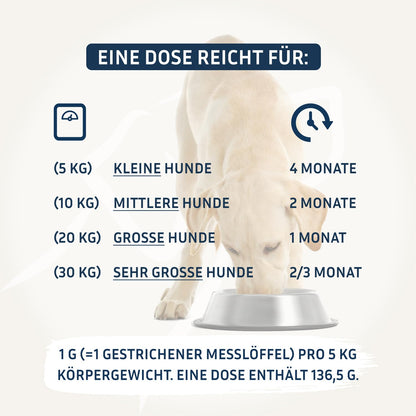 PetFokus Agility Complete Gelenkpulver für Hunde mit Grünlippmuschel