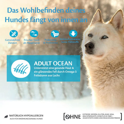 Wellness CORE Ocean Hundefutter trocken – Lachs & Thunfisch 10 kg