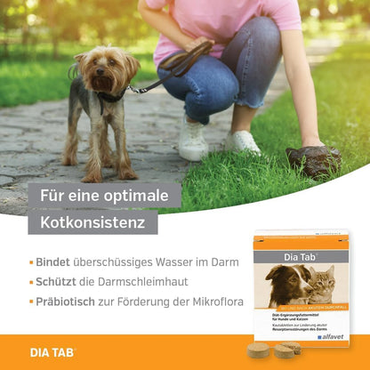 alfavet Dia Tab Kautabletten gegen Durchfall 60 Stk.