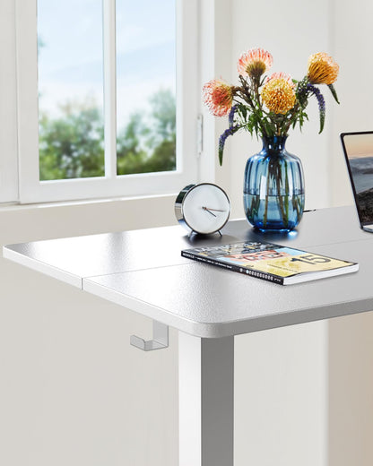 ErGear Elektrischer Schreibtisch Höhenverstellbar - 120x60 cm