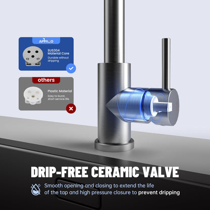 APPASO Niederdruck Ausziehbare Küchenarmatur - 2 Strahlarten