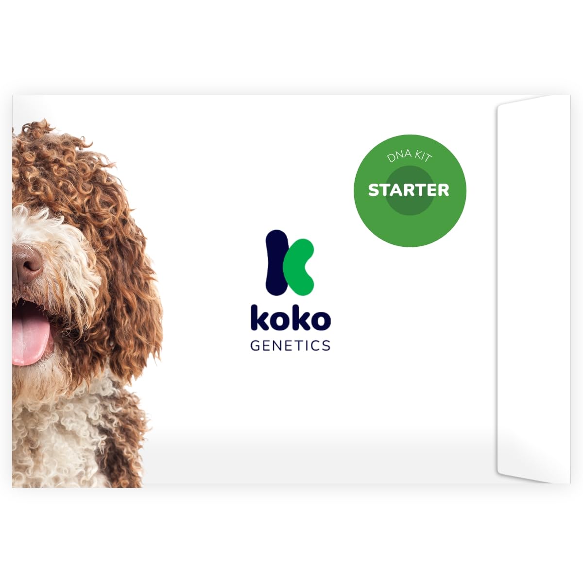 Koko Genetics Hunde DNA-Test Starter – Rassen & Eigenschaften. Rechteckiges Set für Hunde-DNA-Analyse. Ermittelt Rassen und genetische Merkmale.