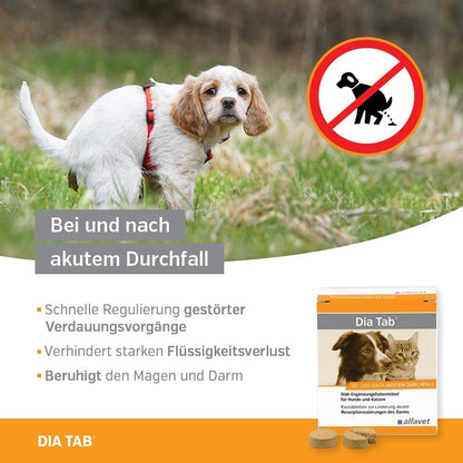 alfavet Dia Tab Kautabletten gegen Durchfall 60 Stk.