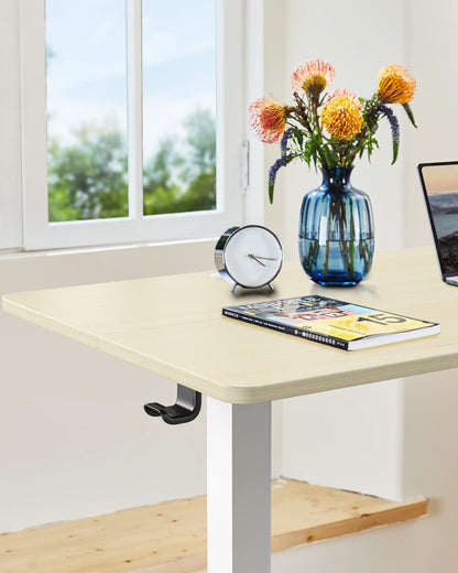 ErGear Schreibtisch Elektrisch Höhenverstellbar - 100x60 cm