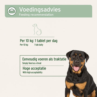 AniForte AgilityVet Gelenktabletten für Hunde, 300 Stück, getreidefrei