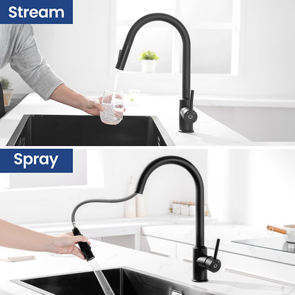 CECIPA Küchenarmatur Niederdruck Schwarz – Ausziehbarer Bogen