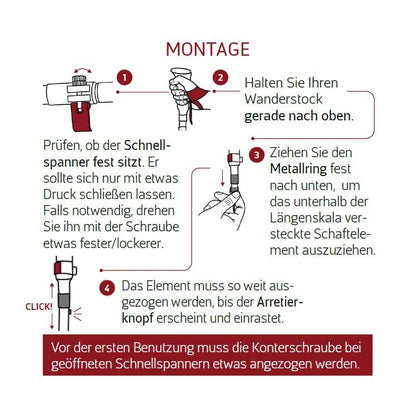 Rothwild Platzhirsch Carbon Wanderstöcke faltbar 105-125cm