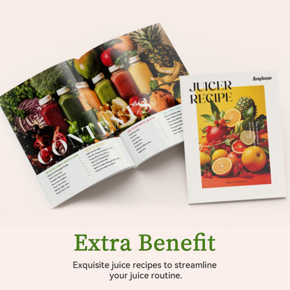 Anybear Entsafter Slow Juicer Kaltentsafter 110mm Silber