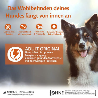 Wellness CORE Original Getreidefrei Trockenfutter Adult Pute & Huhn 10 kg