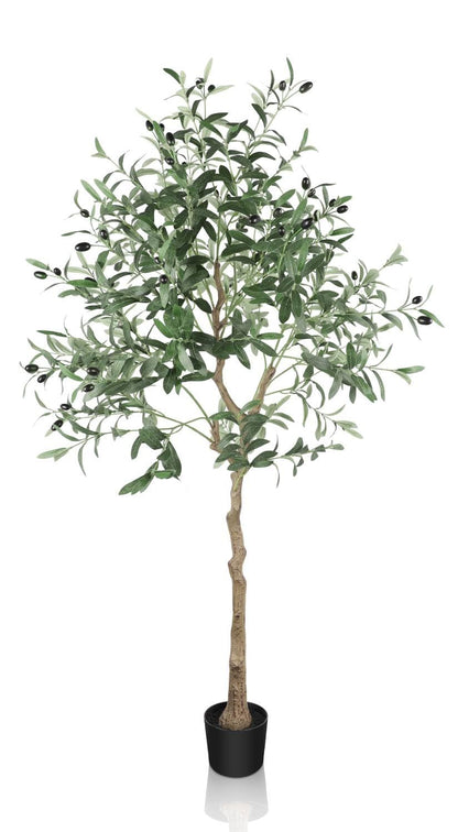 YOLEO Kunstpflanze Olivenbaum 150cm – realistisch für Innenraum