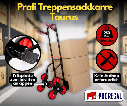 PROREGAL Taurus 250 Profi-Treppensteiger Sackkarre - Klappbar