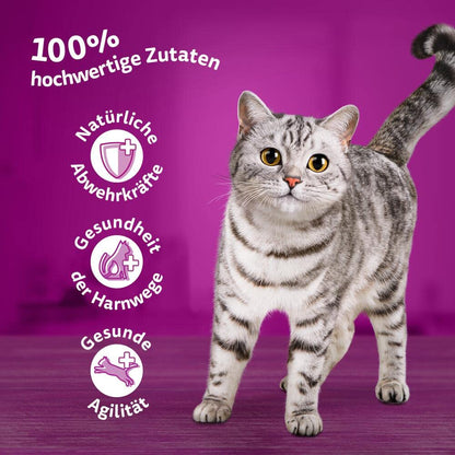 Whiskas Senior 7+ Katzennassfutter - Gemischte Auswahl Gelee 120x85g