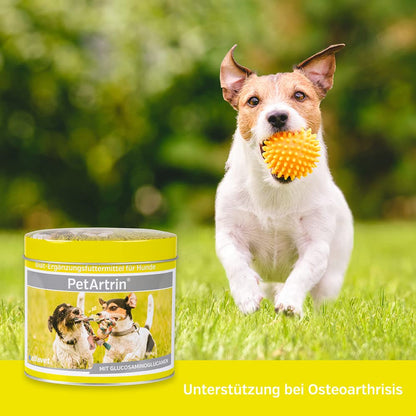 Alfavet PetArtrin Gelenkpulver für Hunde, 200 g, mit Glucosamin