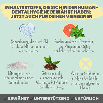 noms+ Dental-Spray für Hunde & Katzen gegen Zahnstein, 100 ml