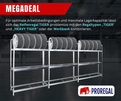 PROREGAL Tiger XL Reifenregal – HxBxT 200x150x45 cm Verzinkt