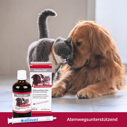 Alfavet Pulmo alfa Saft Doppelpack für Hund und Katze, 2 x 100 ml