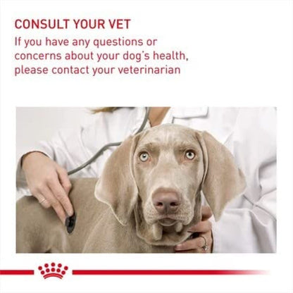 Royal Canin Digestive Care Medium - Hundefutter - 12 kg