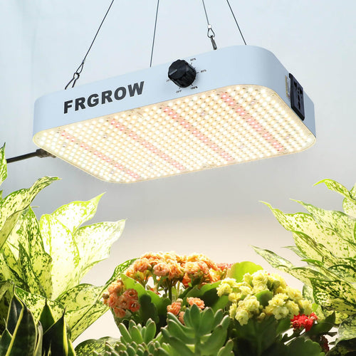 FRGROW LED Pflanzenlampe 65W dimmbar, 6000 Lumen Vollspektrum