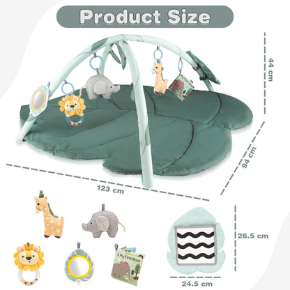 Vanplay Baby Spielmatte mit Spielbogen und 6 Greifspielzeugen