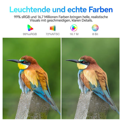 KOORUI E2212F PC-Monitor - 21.45 Zoll, FHD, 100Hz