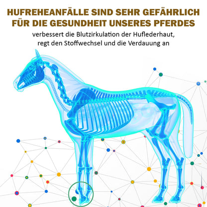 V-POINT REHE Plus Ergänzungsfuttermittel für Pferde, 450 g