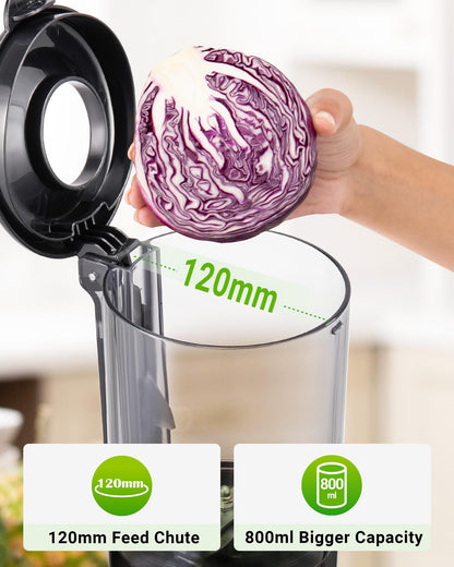 TUUMIIST Slow Juicer 180, Entsafter mit 120 mm Einfüllschacht, schwarz