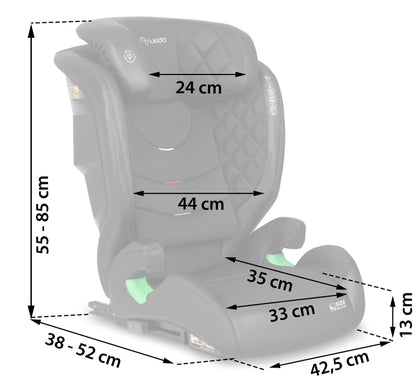 Nukido Louis Autositz für Kinder 15-36 kg ISOFIX - Schwarz