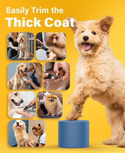 oneisall 3in1 Hundeschermaschine Set für dickes Fell, silber