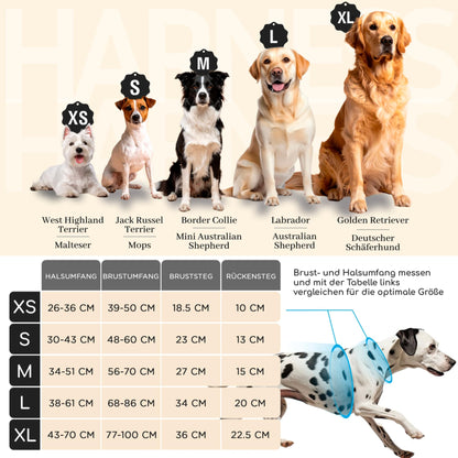 FREUDENTIER Hundegeschirr Clyde Chocolate Edition mit Griff, Braun, M