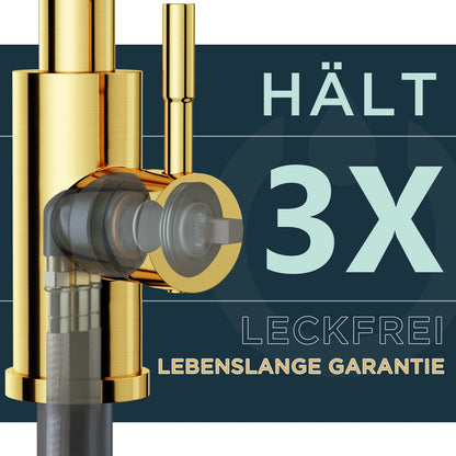 FORIOUS Küchenarmatur Hoher Bogen Ausziehbar – Gebürstetes Gold