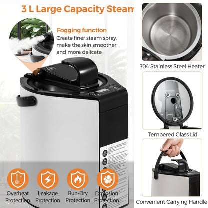 HOMASIS Tragbare Dampfsauna Saunazelt Set für Zuhause - Grau