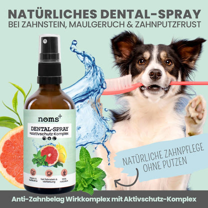 noms+ Dental-Spray für Hunde & Katzen gegen Zahnstein, 100 ml