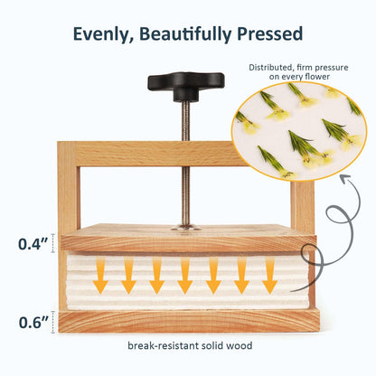wisedry Blumenpresse-Kit CP034, 6 Schichten, Holz, 27,4 x 17,3 cm