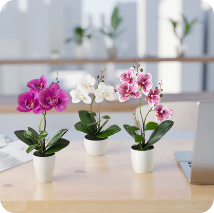 PASCH Kunstblumen im Topf, 3er Set künstliche Orchideen, Weiss-Rosé