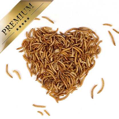 Lyra Pet® Mehlwürmer getrocknet Protein-Vogelfutter 10 kg