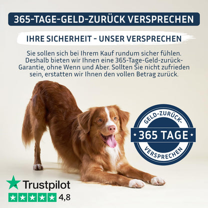 PetFokus Darm Komplex für Hunde – Ergänzungsfuttermittel