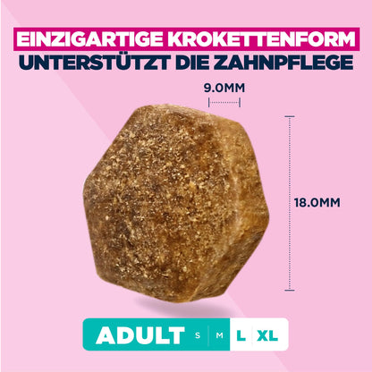 Eukanuba Trockenfutter mit Lamm und Reis für grosse Rassen 12 kg