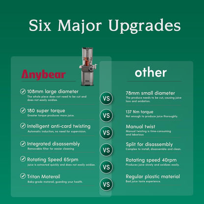 Anybear Entsafter Slow Juicer Kaltentsafter 110mm Silber