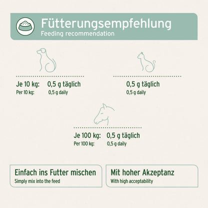 AniForte Grünlippmuschelpulver Hund 500g – Vollfettqualität