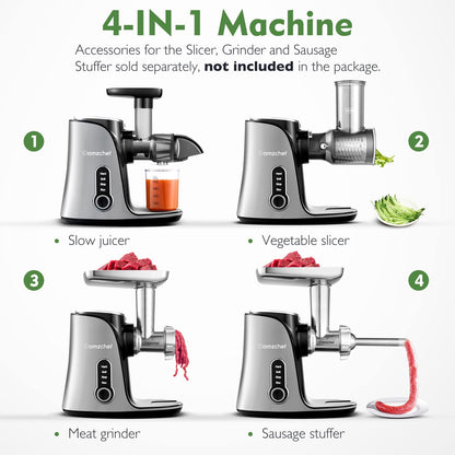 AMZCHEF Slow Juicer Entsafter mit 2 Geschwindigkeiten Grau